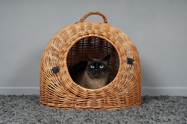 Grottes pour chats: un espace sécurisé