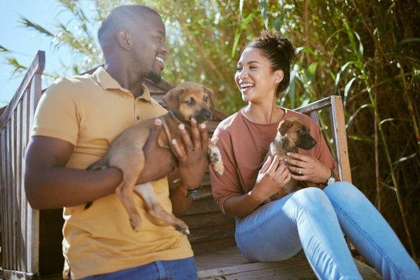 Comment introduire un nouvel animal à vos animaux de compagnie actuels